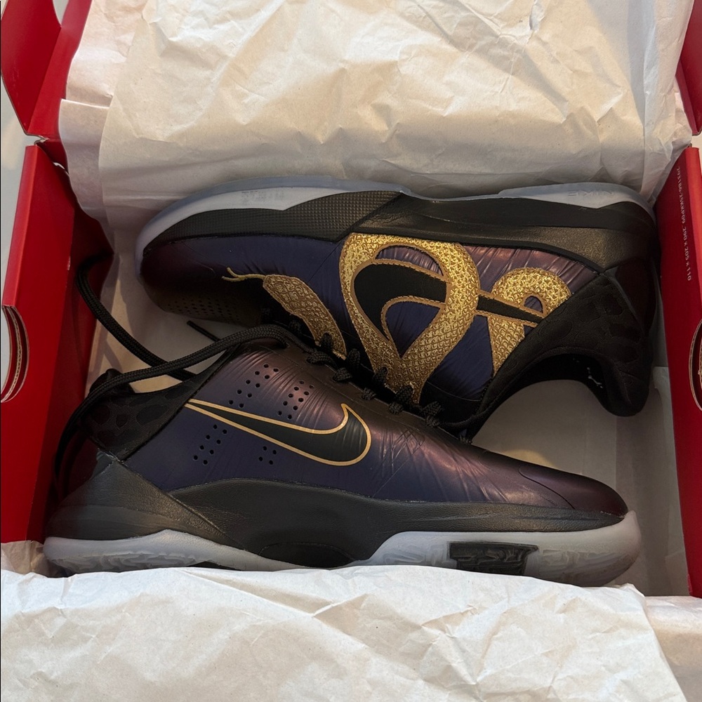 Kobe 5 eggplant 5.5y